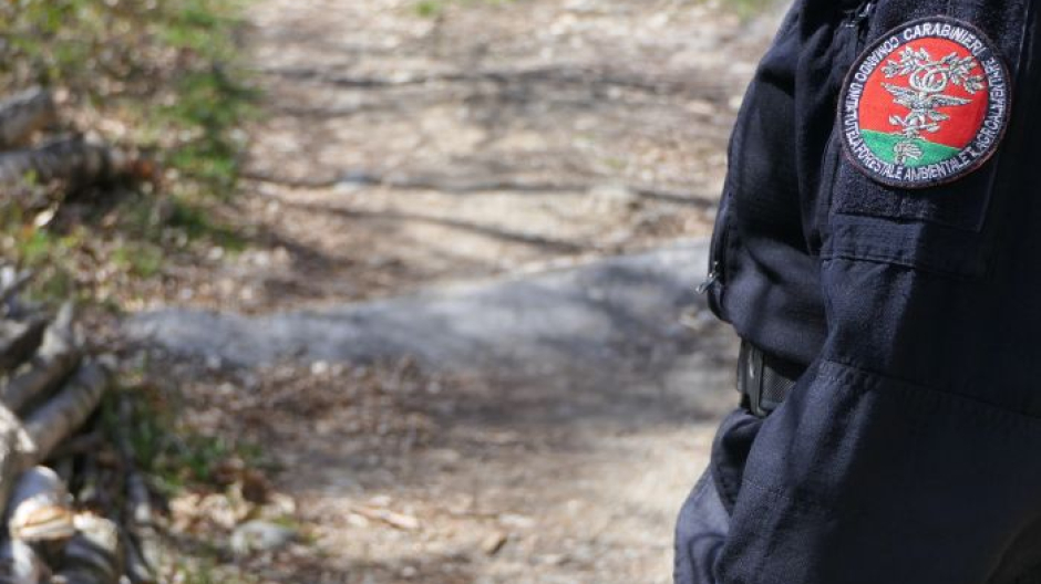 Sorpreso a bruciare arbusti: multato con 400 euro